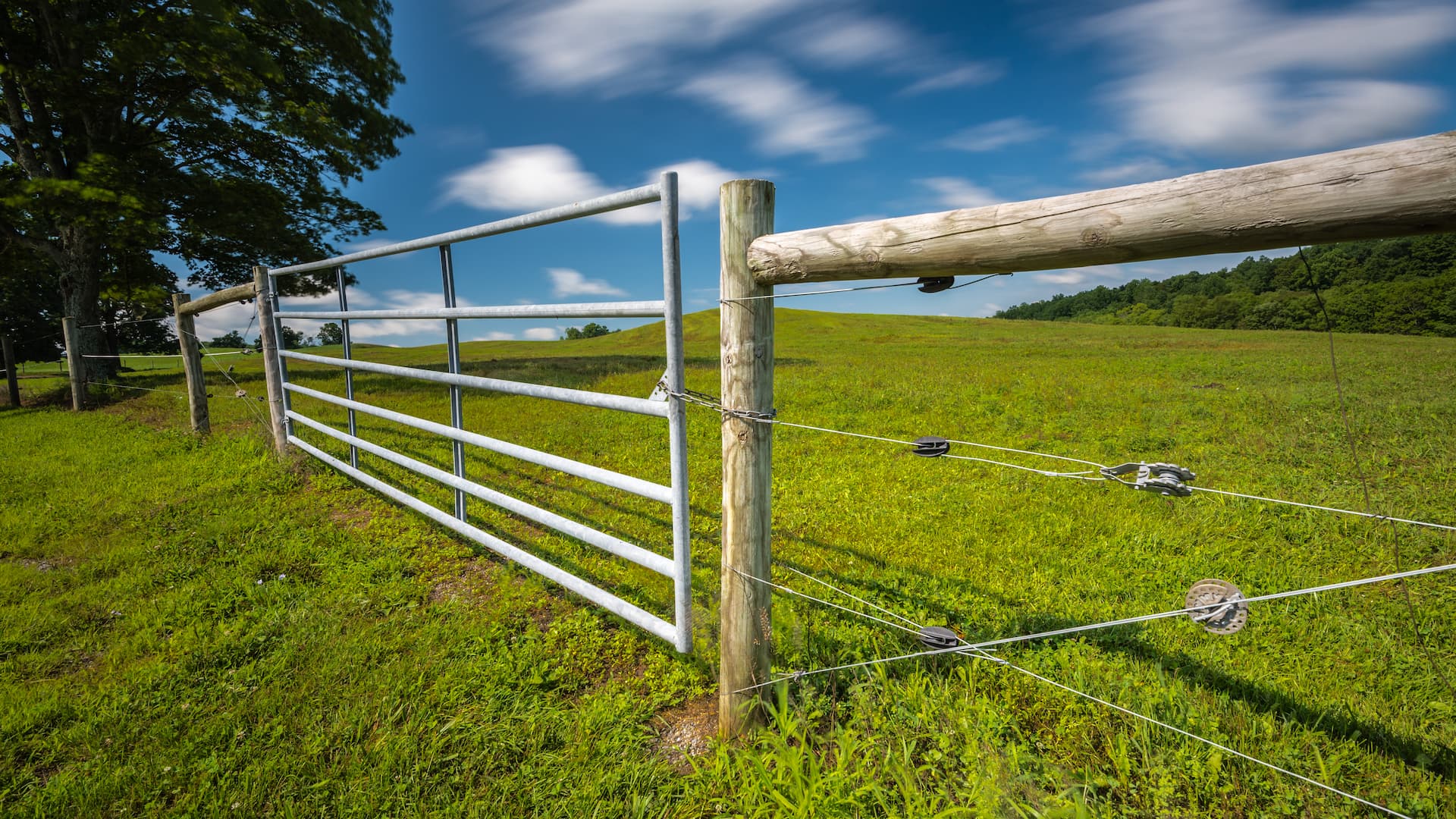 fence